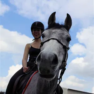 Pet-sitter passionnée située à Lens 