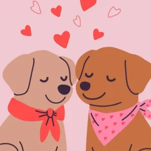 Busco cuidador/a en l'Eliana para perritas súper buenas