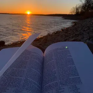 Baby-sitter occasionnel à Paris et les alentours 