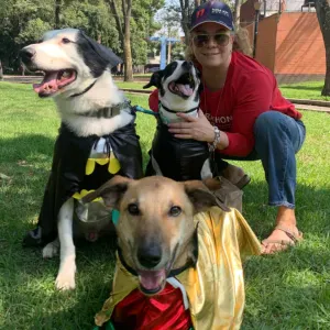 Cuidador de animales, en escocia, madrid, paris, argentina