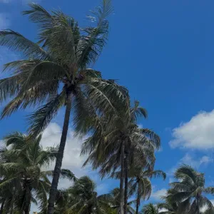 Aide à domicile pour vos aînés 