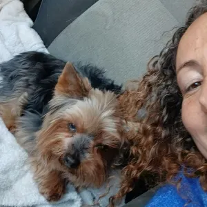 Pour garder mon chein cher vous 