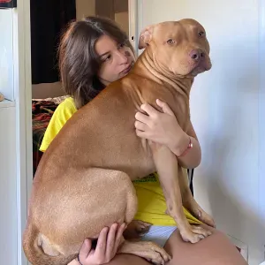 Pet sitting a Desenzano e provincia