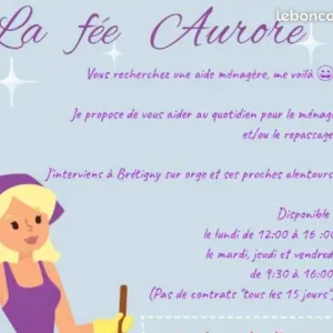 Aide ménagère autour de Brétigny sur orge 