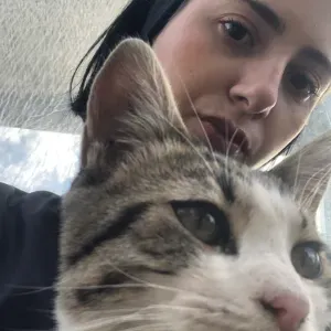 Cat sitter. 