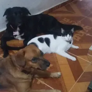 Baby-sitter responsable et patient