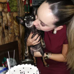 Pet sitting no Porto e arredores.