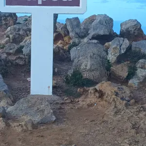 Procura-se Apoio Domiciliário em Santarém 