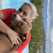 Procuro alguém para passear/brincar com os cães