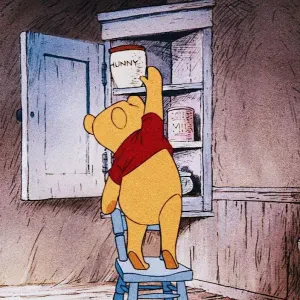 Pet-sitter à Beauvais et Allonne