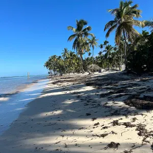 Femme de ménage responsable et sérieuse à froideconche