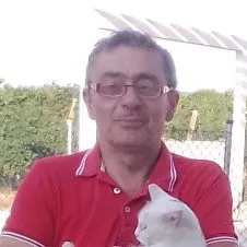 Cerco lavoro come pet sitting (dog-cat).