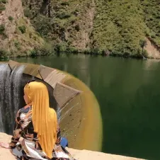 Canguro y hago limpieza  Vitoria 