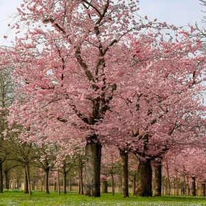 Experienced babysitter looking for a job 