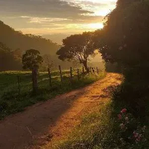 Aide à domicile, aide ménagère 