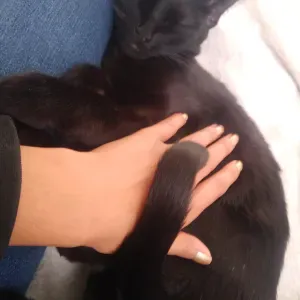 AMA DE LLAVES RESPONSABLE EN CHARTRES 