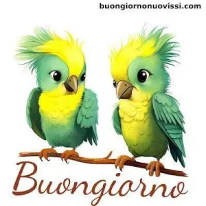 Lavoro pulizie a Udine