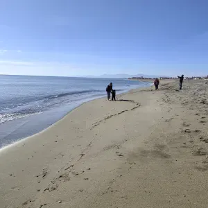 Recherche ménage entre deux location airbnb