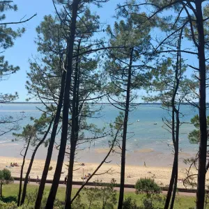 CAT SITTER GUJAN ET COMMUNES VOISINES