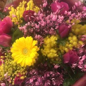 Aide à domicile pour personne âgée atteinte de démence