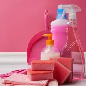 Femme de ménage sérieuse pour maisons et appartements