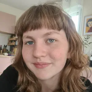 Babysitter, aide aux particulier, ménage 