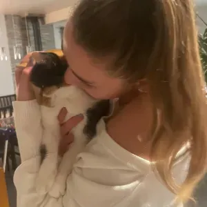 Baby-sitter expérimentée à Lannion 