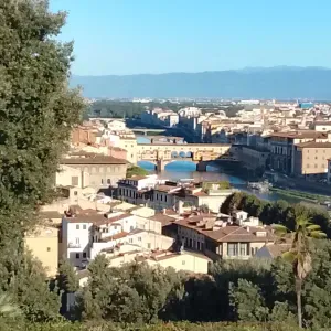  Assistente familiare, dama di compagnia, badante (live in) 