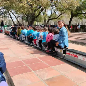 Cuidadora de Gatitos y perritos