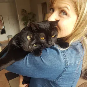 Service à la maison et à la personne