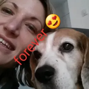 Pet-Sitter à Bagneux et proche Bagneux