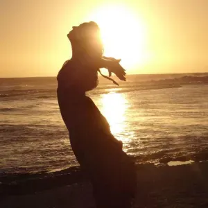 Je recherche une aide ménagère 