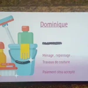 Aide ménagère , prestataire de service.