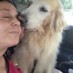 Petsitting na zona de almada e seixal