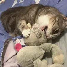 Baby-sitter créatrice 