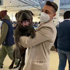 Pet sitter o pensione per cani a Bologna