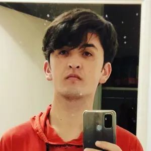 Je cherche professeur langue français