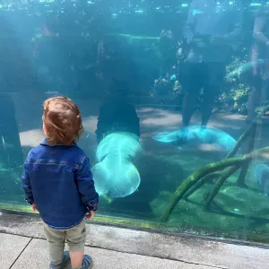 Recherche une personne pour s'occuper de notre fils