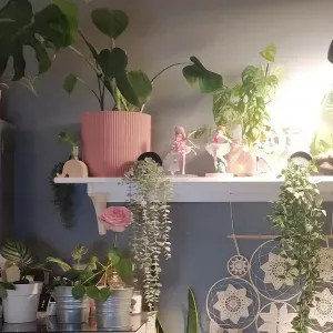 Poste pour un(e) aide ménagère à Grenoble