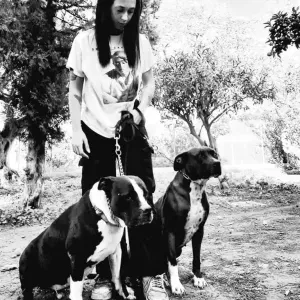 Pet Sitter a Palermo per cani e gatti (ma non solo)