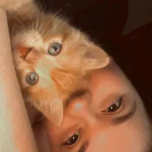 Baby-sitter à qui vous pouvez faire confiance ! 