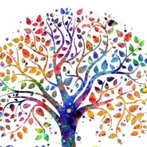 Accompagnement personnes âgées 