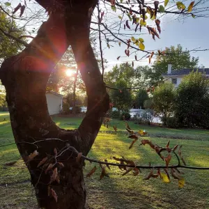 Emploi d'aide ménagère Libourne