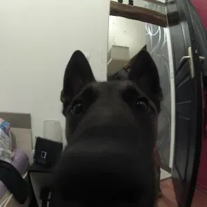 Emploi de femme de ménage Istres