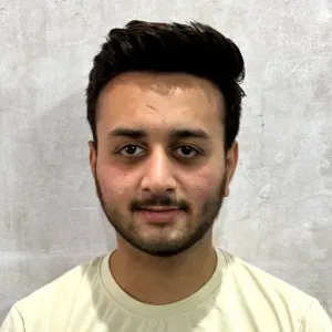 House cleaning (kitchen, bathroom, floors, dusting)