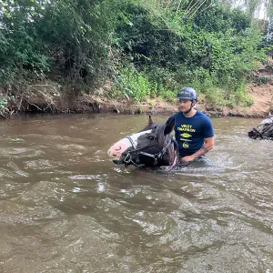 Offre d'emploi pour un(e) aide ménagère à Saint-Julien...
