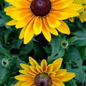 Opieka z zamieszkaniem 