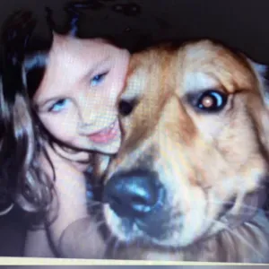 Pet sitting services for dogs, cats, and other animals.