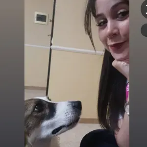 La nuova amica del tuo cucciolo! 