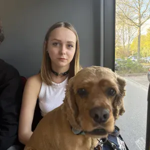 Tierpflegedienste hund und katze Hamburg